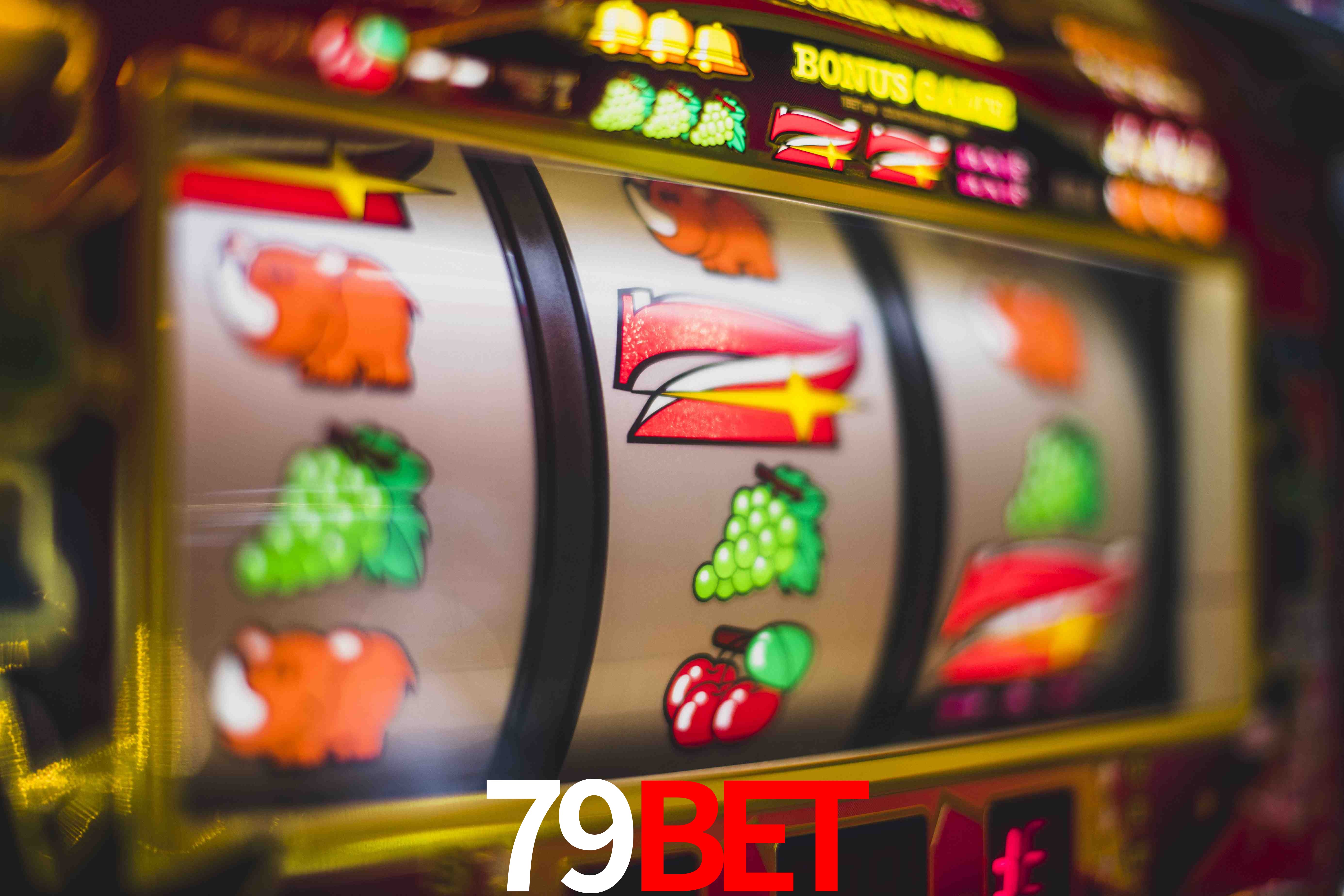 Sports Statistics 79Bet